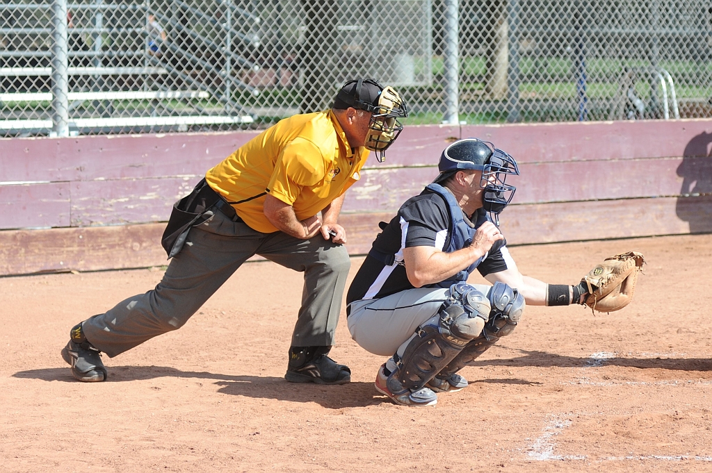 Seals_2019-09-22 (328).JPG - (c)2010 DeVetter